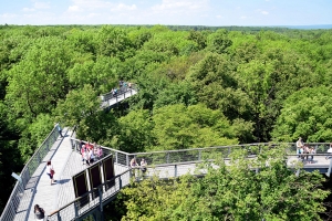 27.05.2017 | Ausflug: Baumkronenpfad