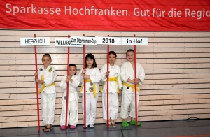 25.02.2018 | Oberfranken Cup 2018 - FU15